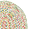 Garden Stripe Reversible Braided Cotton Rug - Multi, Swatch