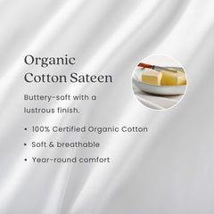Premium Smooth Organic Cotton Sateen Sham - White, Euro
