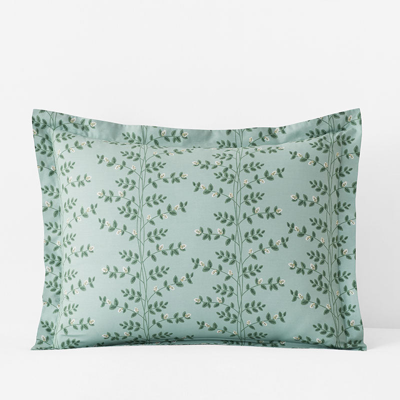 Climbing Vines Classic Cool Cotton Percale Sham - Sage Green, Standard