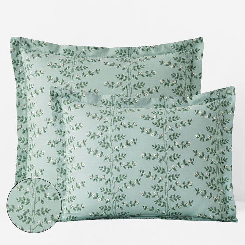 Climbing Vines Classic Cool Cotton Percale Sham - Sage Green, Euro