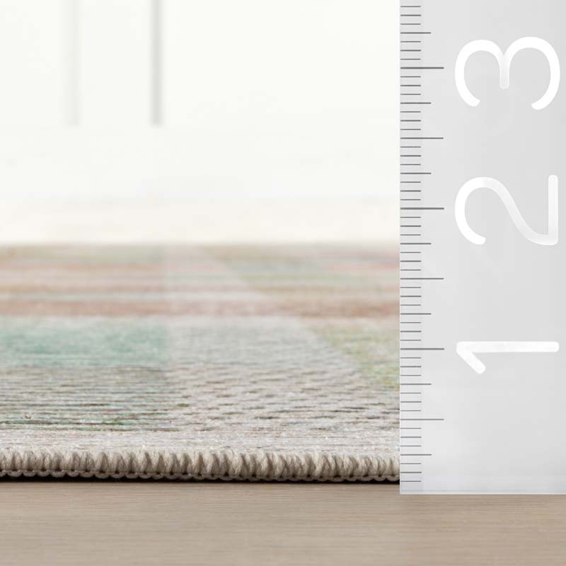 Chanan Farmhouse Plaid Washable Rug - Multi, 4' x 6'