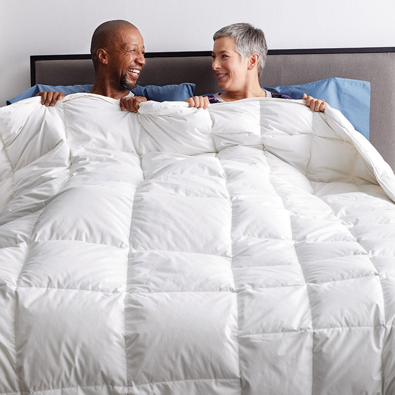 Premium Dual Down Light To Medium Warmth Comforter - White, Full/Queen