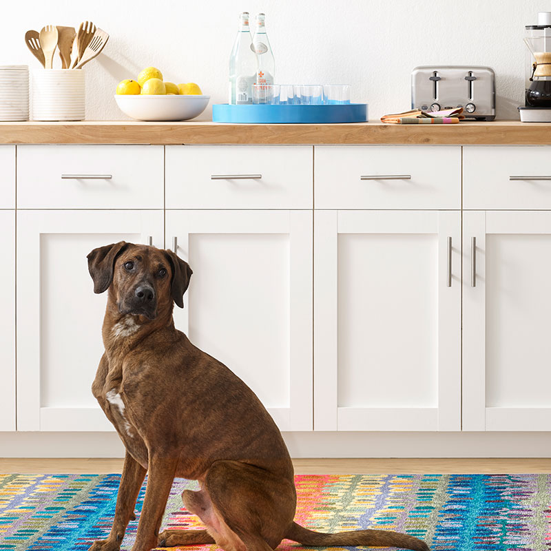 Paint Chip Washable Rug - Multi, 5' x 8'