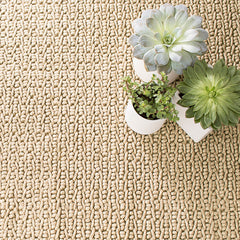 Veranda Handwoven Performance Rug - Natural, 2' 6" x 8' Runner