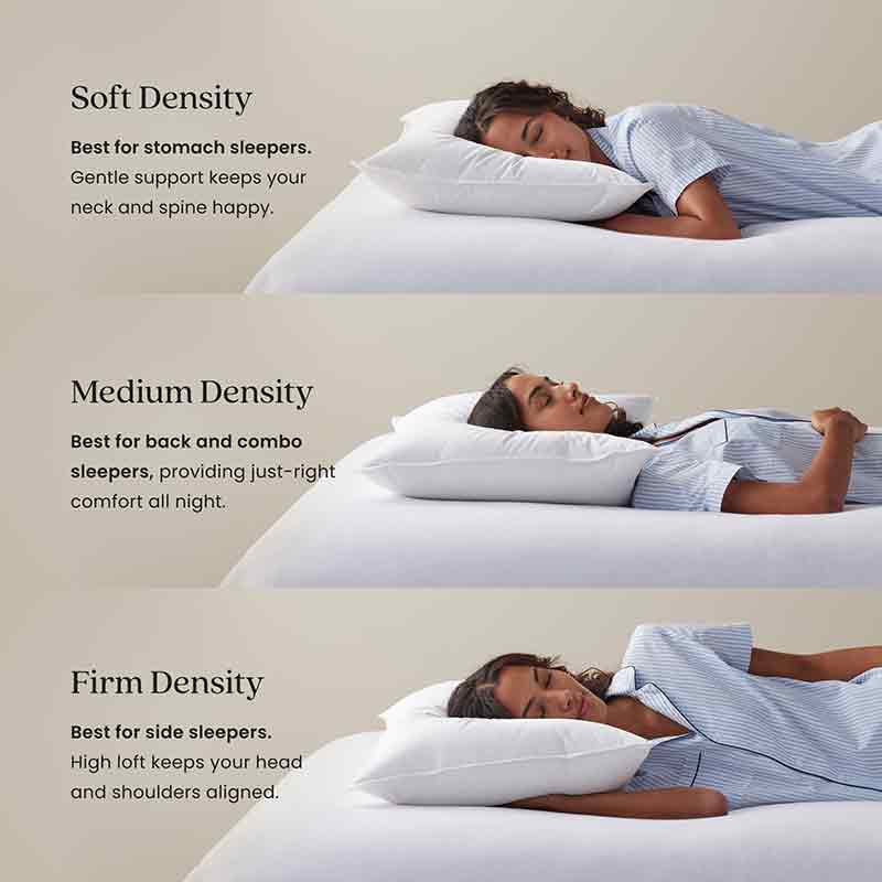 4-Piece Best Down Pillow & Protector Bundle