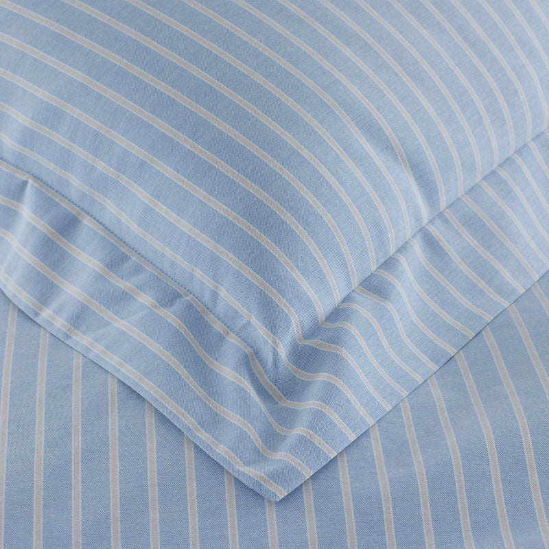 Classic Oxford Yarn-Dyed Stripe Sham - Blue/Beige, King