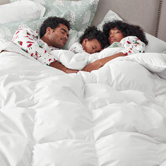 Premium Alberta Down Medium Warmth Comforter - White, Full