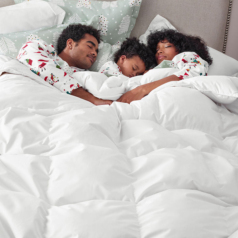 Premium Alberta Down Extra Warmth Comforter - White, King/Cal King