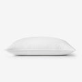 Premium Organic Cotton Down Pillow - Medium, King