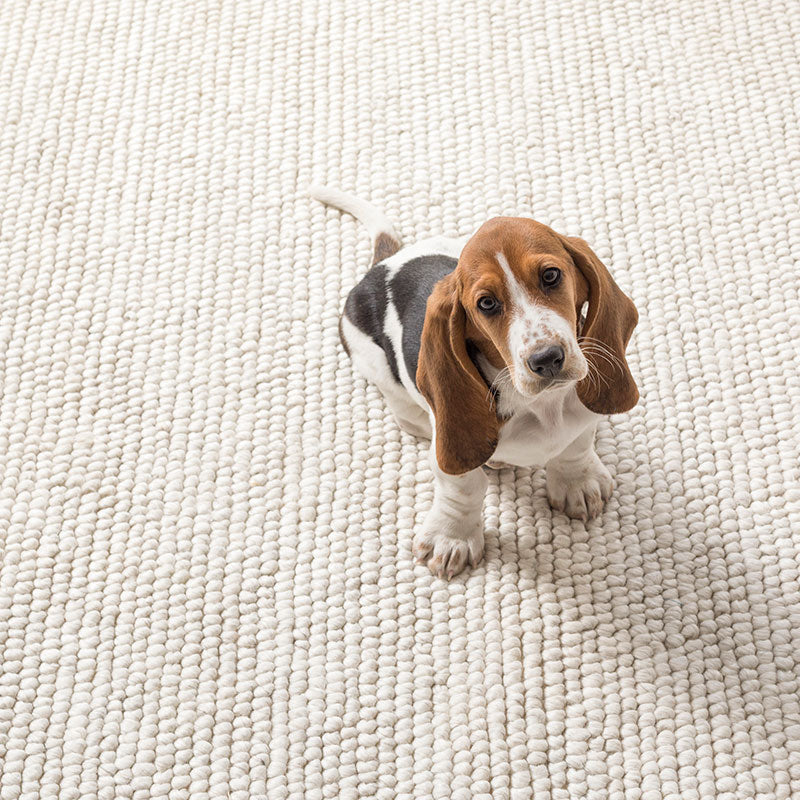Chunky Handwoven Wool Rug - Ivory, 8' x 10'