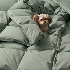 Quilted Sham - Thyme, Standard
