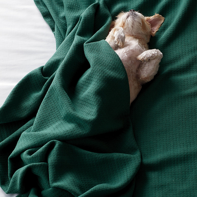 Cotton Weave Blanket - Thyme, Full/Queen