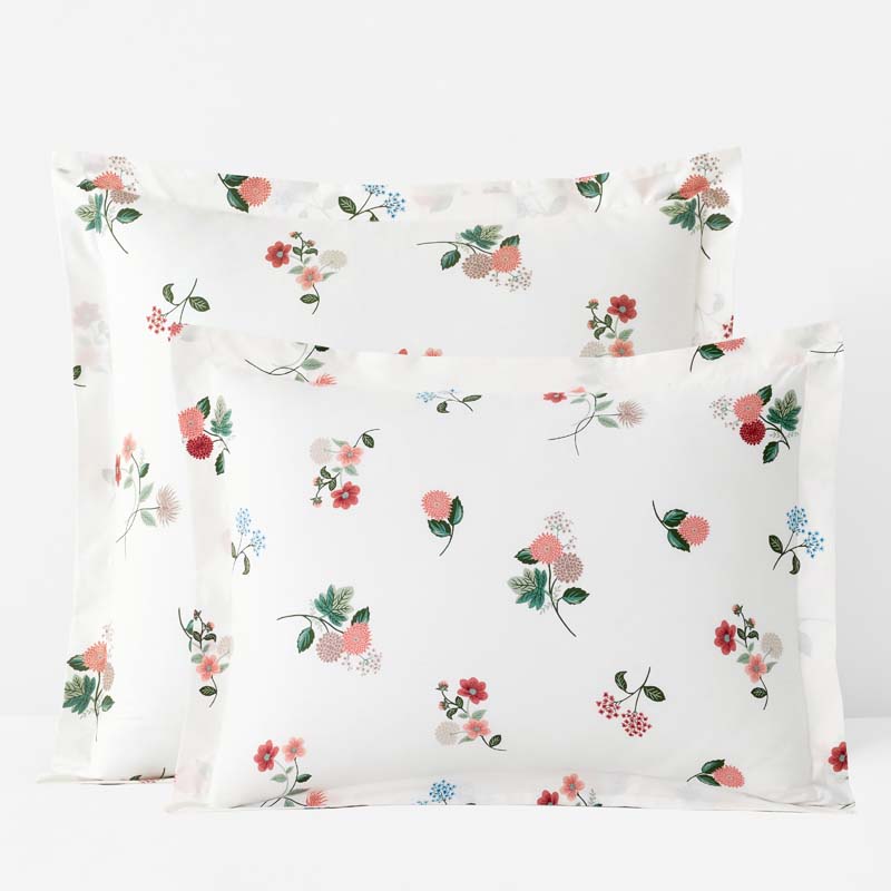 Ditsy Dahlia Classic Cool Cotton Percale Sham - Cream Multi, Standard