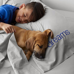 Classic Cool Organic Cotton Percale Solid Sham - Gray, Standard
