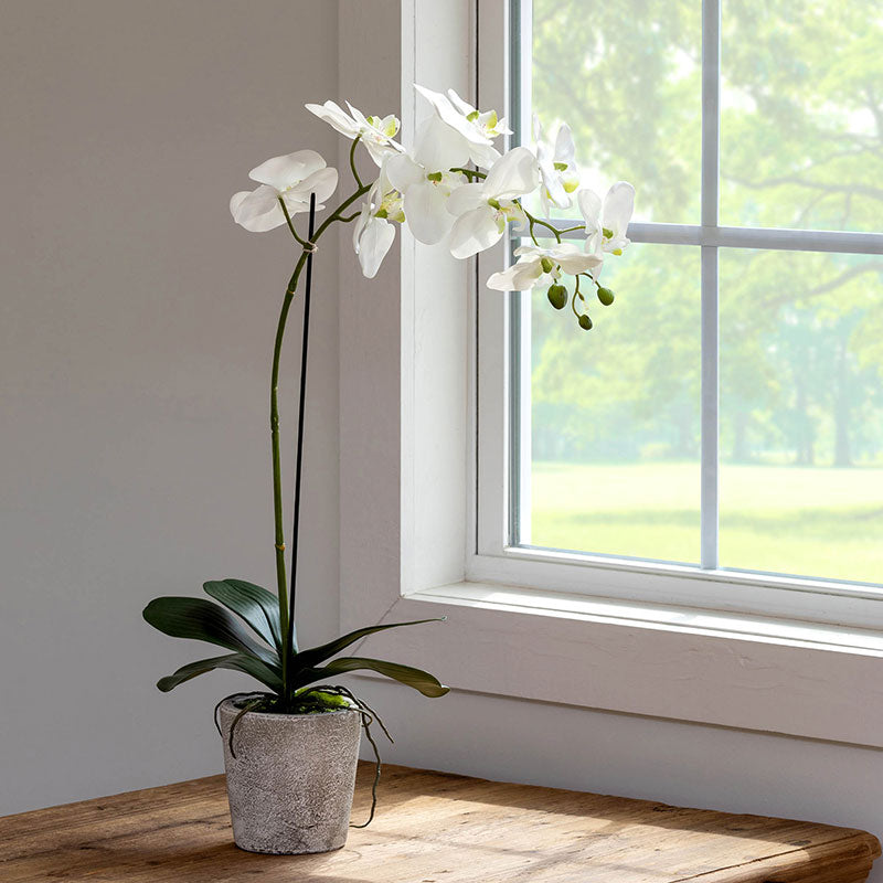 Faux Orchid Plant in Decorative Pot