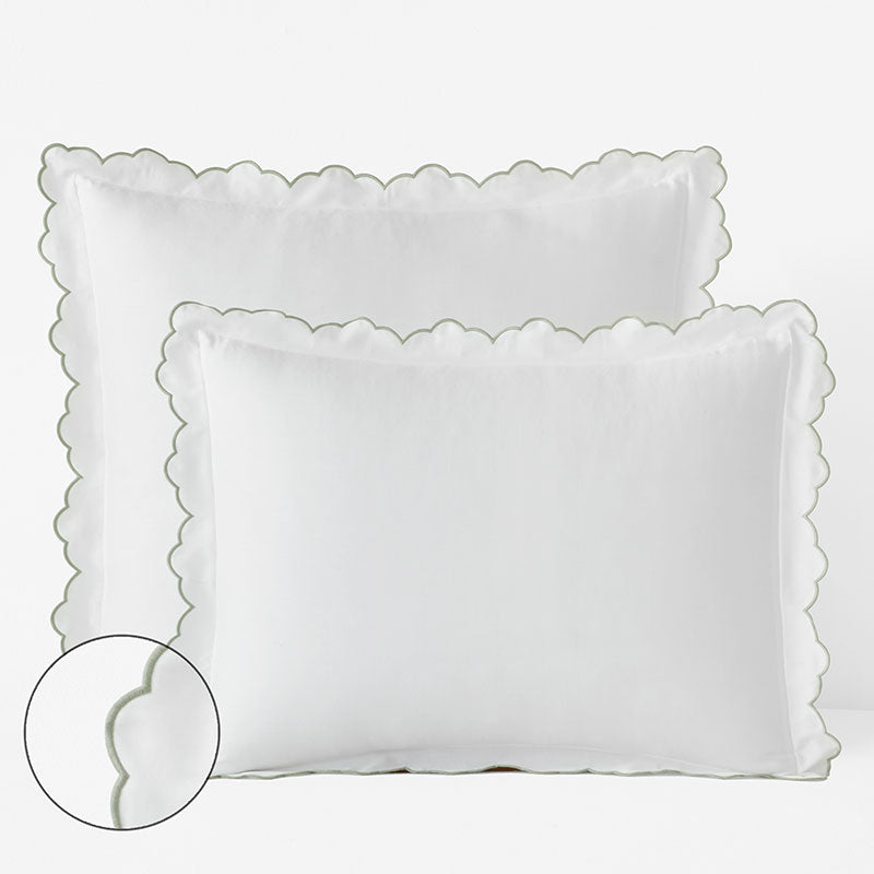 Embroidered Scallop Classic Smooth Sateen Solid Sham - Light Sage, Euro