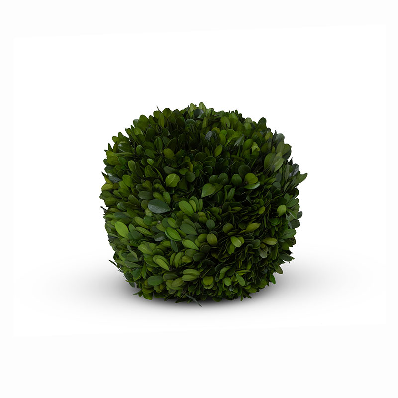 Preserved Boxwood Ball -  Green, 8"