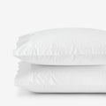 Embroidered Scallop Classic Cool Cotton Percale Pillowcase Set - White, King