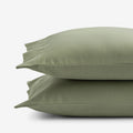 Classic Ultra-Cozy Cotton Velvet Flannel Pillowcase Set - Willow Green, Standard